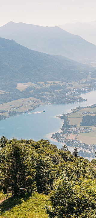 Blick vom Berg auf den Wolfgangsee