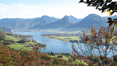 Aussicht auf den blauen Wolfgangsee