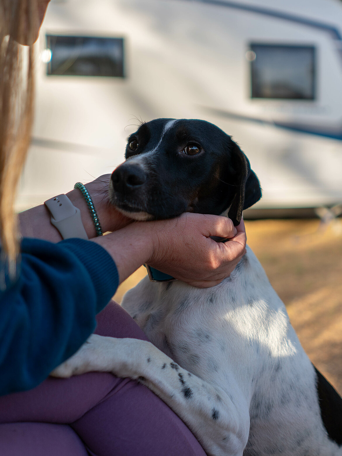 EIne Frau streichelt ihren HUnd