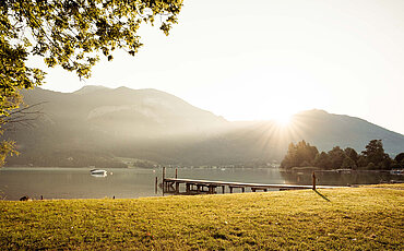 Seeufer Birkenstrand beim Campingplatz Paradiescamping Wolfgangsee