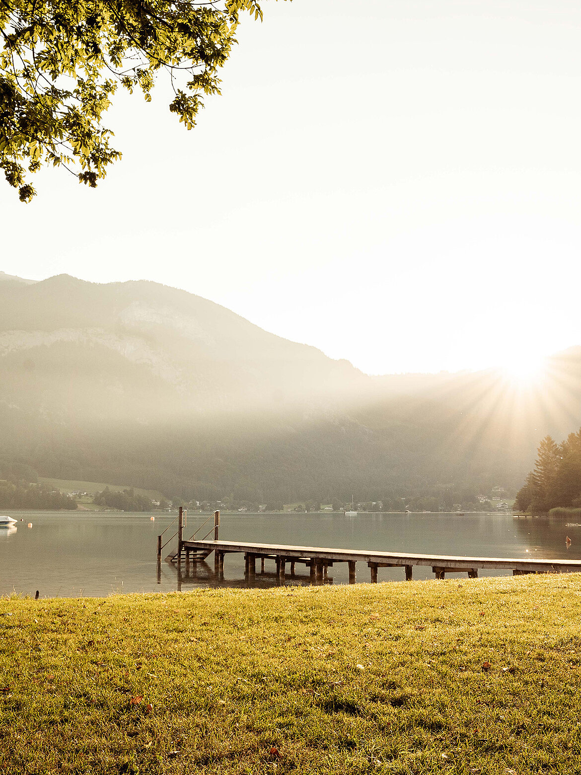 Lake shore birch beach at the Paradiescamping Wolfgangsee campsite