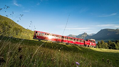 SchafbergBahn am Weg zum Gipfel